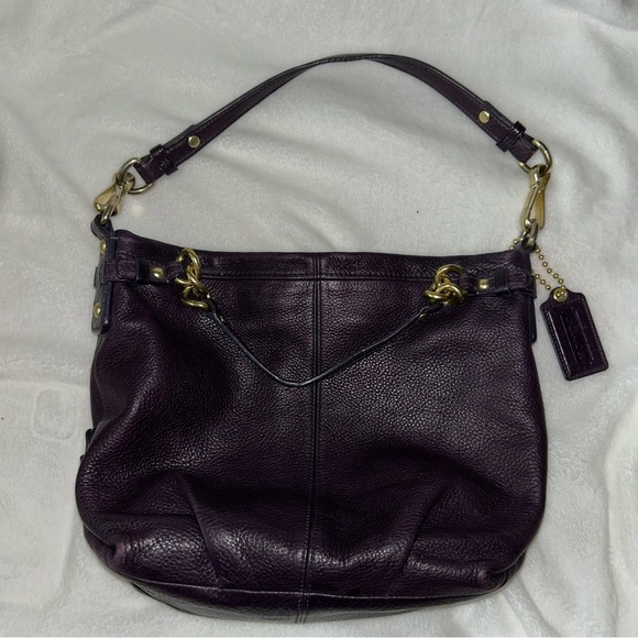 Coach Purple and Gold Hobo Shoulder Bag - Picture 1 of 8